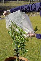 giardino-e-repellenti